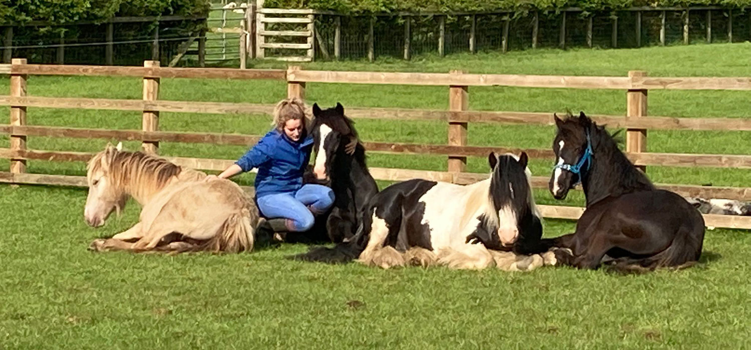 Annabelle with Horses