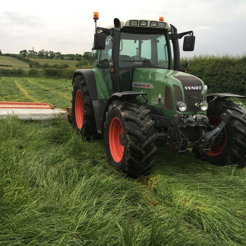 Grassland Management