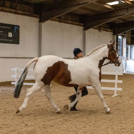 Mossgate Edge of Reason