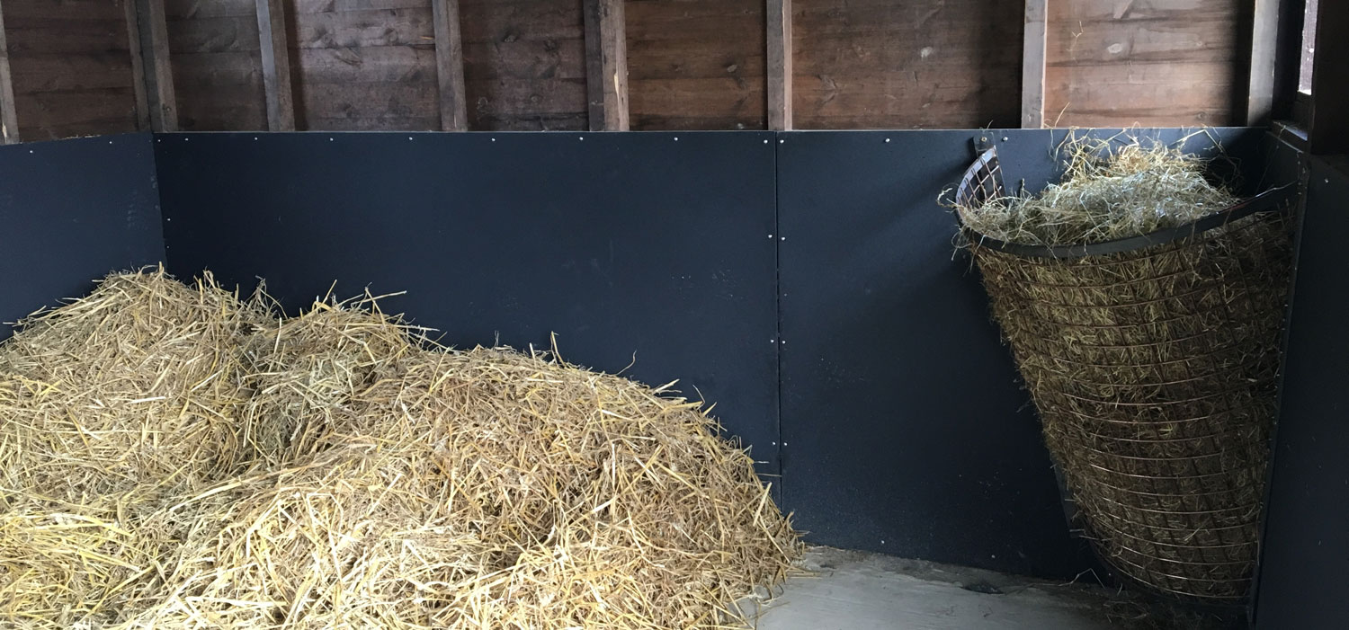 Stable Ready for Horse