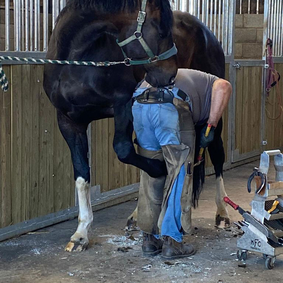 Farrier 