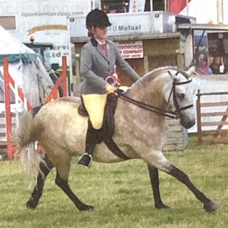 Withenlea Scheherazade