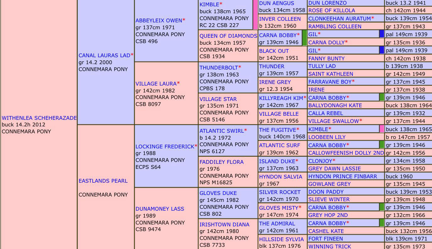 Withenlea Scheherazade Info