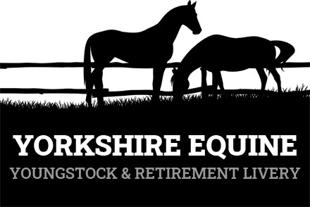 Yorkshire Equine Youngstock and Retirement Livery
